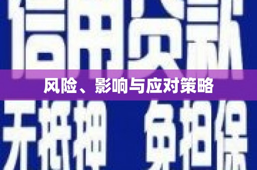 西固风险、影响与应对策略