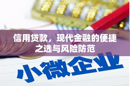 西固信用贷款，现代金融的便捷之选与风险防范