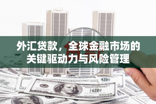 西固外汇贷款，全球金融市场的关键驱动力与风险管理