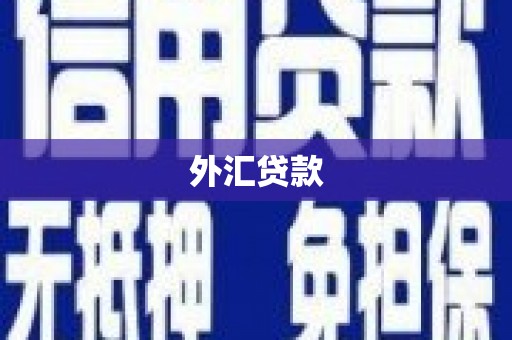西固外汇贷款