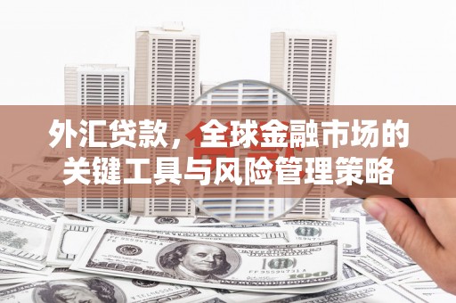 西固外汇贷款，全球金融市场的关键工具与风险管理策略