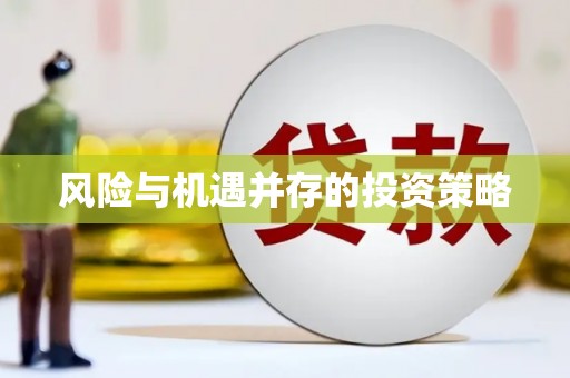 西固风险与机遇并存的投资策略