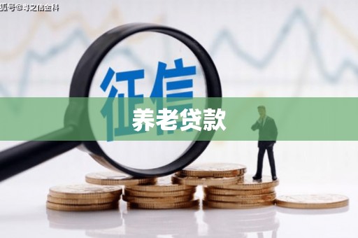 西固养老贷款