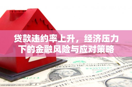 西固贷款违约率上升，经济压力下的金融风险与应对策略