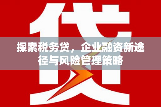 西固探索税务贷，企业融资新途径与风险管理策略