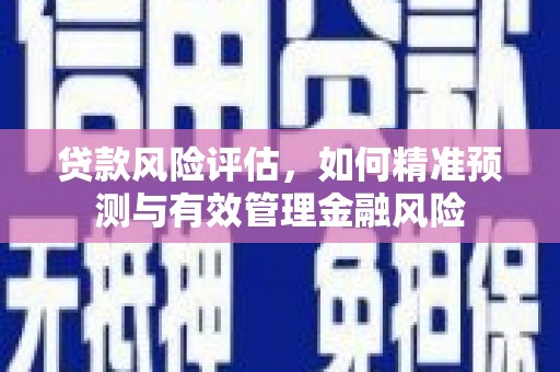 西固贷款风险评估，如何精准预测与有效管理金融风险