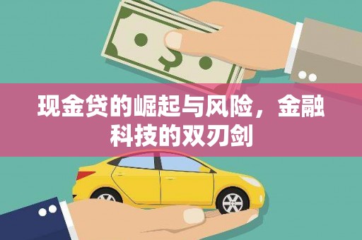 西固现金贷的崛起与风险，金融科技的双刃剑