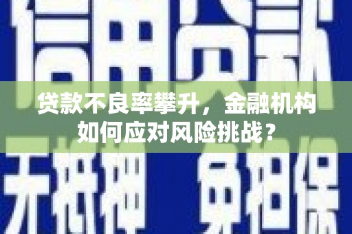 西固贷款不良率攀升，金融机构如何应对风险挑战？