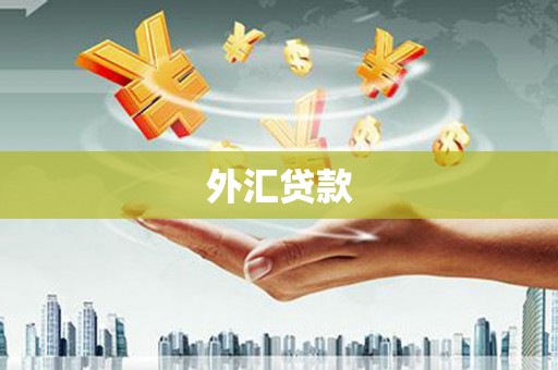 西固外汇贷款