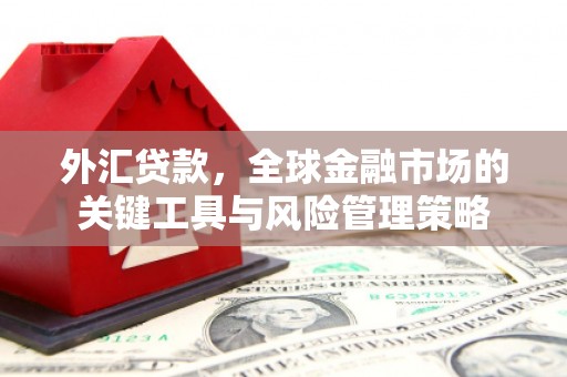西固外汇贷款，全球金融市场的关键工具与风险管理策略