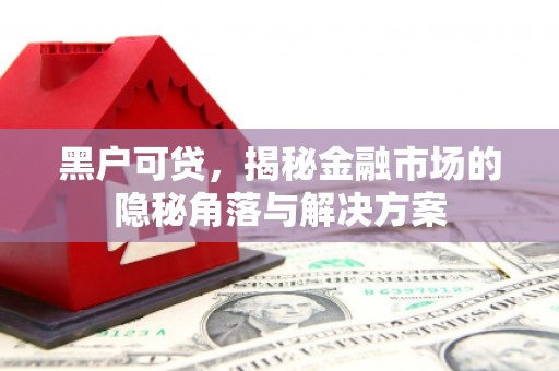 西固黑户可贷，揭秘金融市场的隐秘角落与解决方案