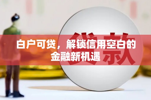 西固白户可贷，解锁信用空白的金融新机遇