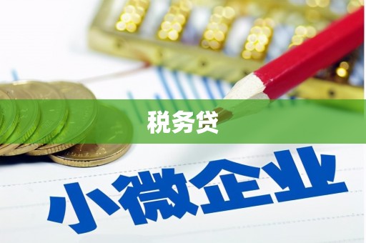 西固税务贷