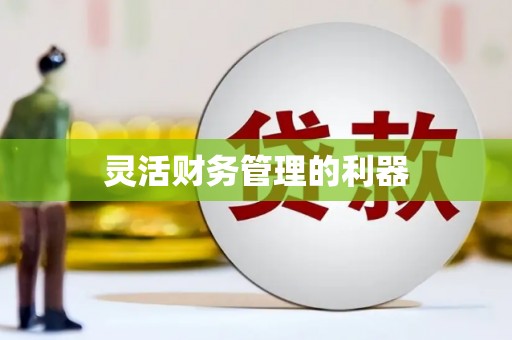 西固灵活财务管理的利器