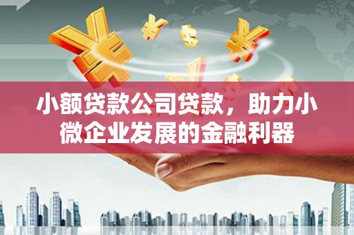 西固小额贷款公司贷款，助力小微企业发展的金融利器