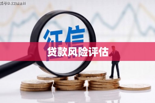 西固贷款风险评估