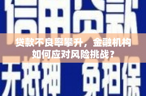 西固贷款不良率攀升，金融机构如何应对风险挑战？
