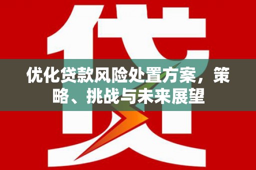 西固优化贷款风险处置方案，策略、挑战与未来展望