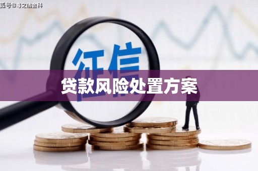 西固贷款风险处置方案