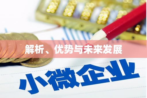 西固解析、优势与未来发展