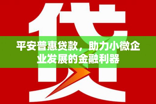 西固平安普惠贷款，助力小微企业发展的金融利器