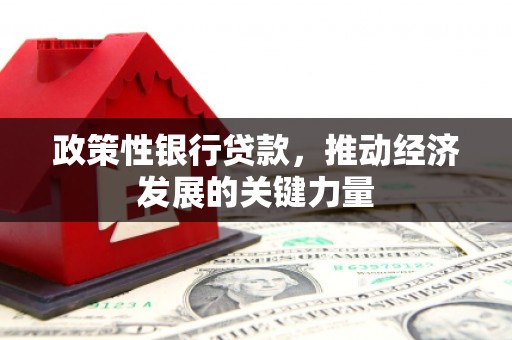 西固政策性银行贷款，推动经济发展的关键力量