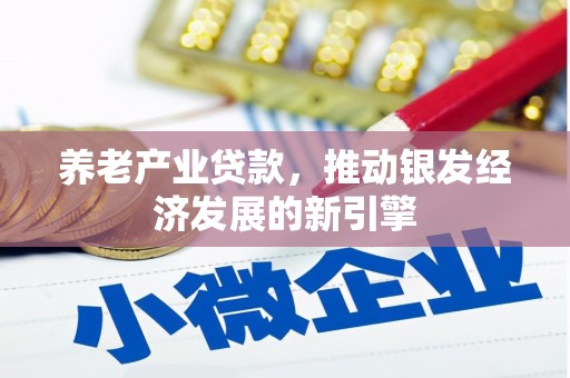 西固养老产业贷款，推动银发经济发展的新引擎