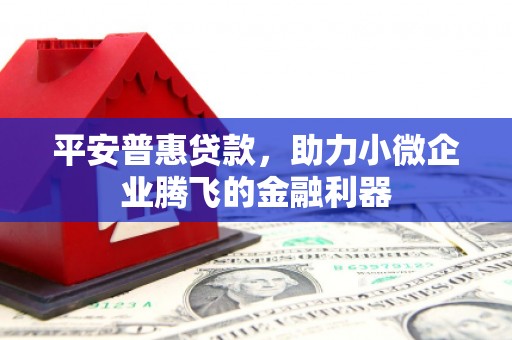 西固平安普惠贷款，助力小微企业腾飞的金融利器