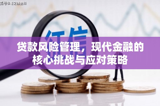 西固贷款风险管理，现代金融的核心挑战与应对策略