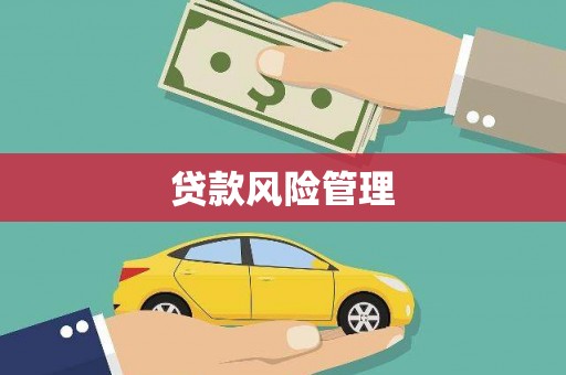 西固贷款风险管理