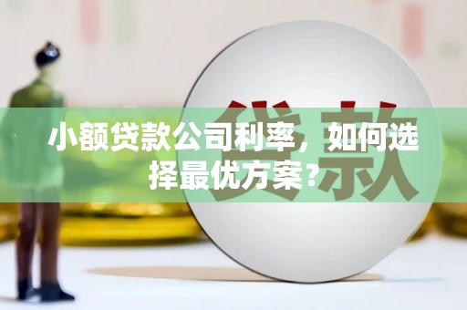 西固小额贷款公司利率，如何选择最优方案？