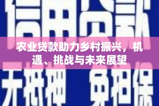 西固农业贷款助力乡村振兴，机遇、挑战与未来展望