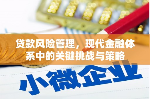 西固贷款风险管理，现代金融体系中的关键挑战与策略