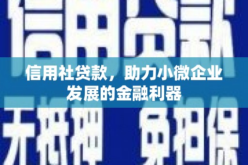 西固信用社贷款，助力小微企业发展的金融利器