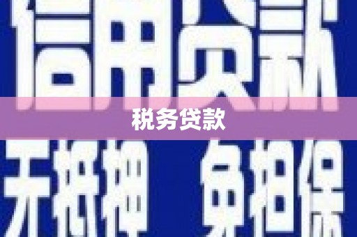 西固税务贷款