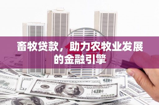西固畜牧贷款，助力农牧业发展的金融引擎
