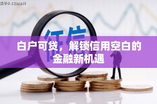 西固白户可贷，解锁信用空白的金融新机遇
