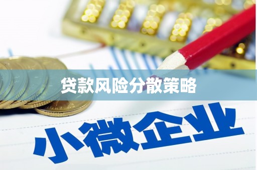 西固贷款风险分散策略