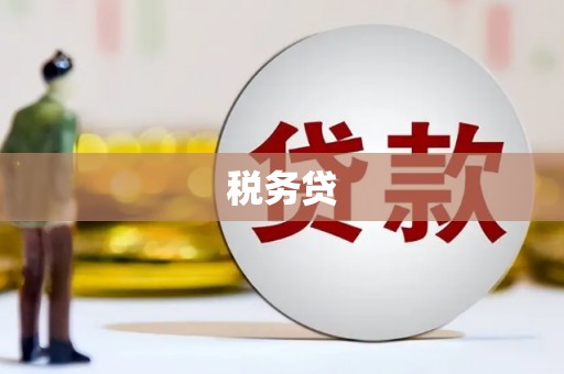西固税务贷