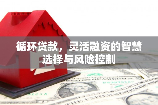 西固循环贷款，灵活融资的智慧选择与风险控制