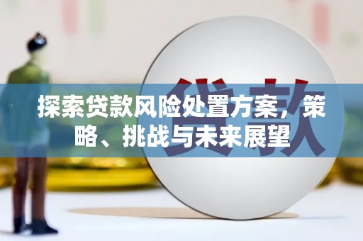 西固探索贷款风险处置方案，策略、挑战与未来展望