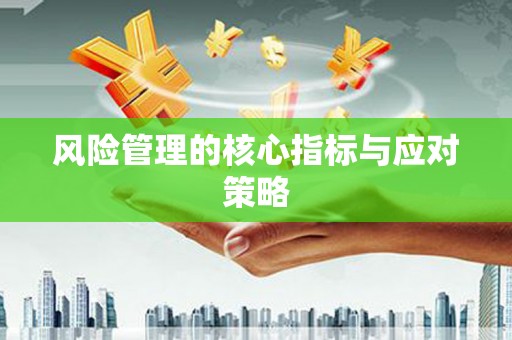 西固风险管理的核心指标与应对策略