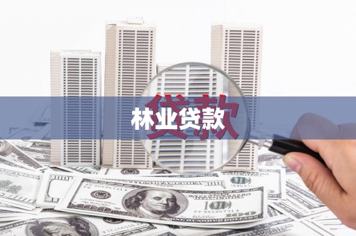 西固林业贷款