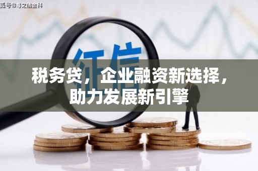 西固税务贷，企业融资新选择，助力发展新引擎