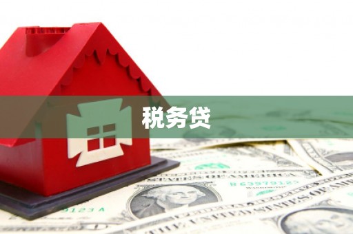 西固税务贷