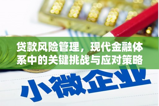 西固贷款风险管理，现代金融体系中的关键挑战与应对策略
