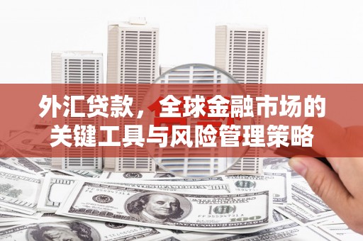西固外汇贷款，全球金融市场的关键工具与风险管理策略