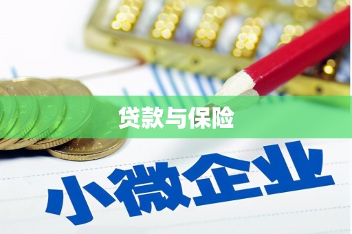 西固贷款与保险
