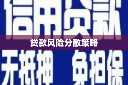 西固贷款风险分散策略