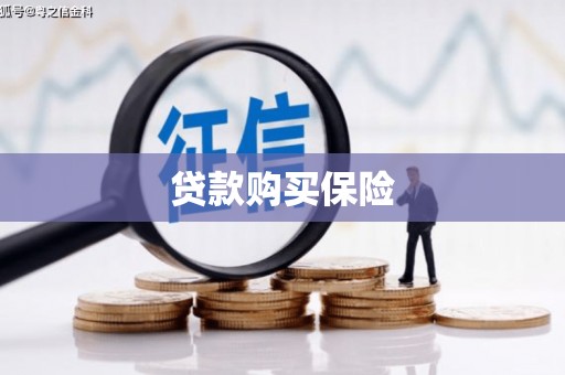 西固贷款购买保险